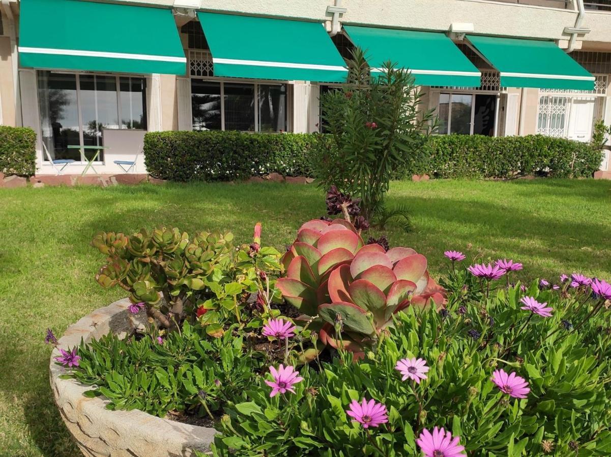 Sunrise Estudio Zebra, Con Vistas Jardin Y Mar Miami Playa Εξωτερικό φωτογραφία